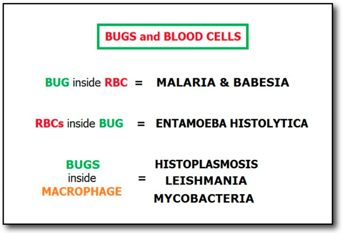 Mnemonics Microbiology