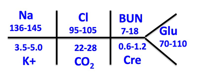 Charting Lab Values Diagram