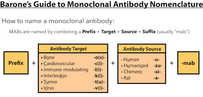 Monoclonal Antibody Nomenclature Chart